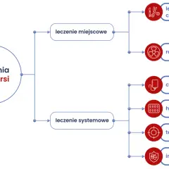 Schemat przedstawia metody leczenia raka piersi: leczenie miejscowe (chirurgia, radioterapia) i leczenie systemowe (chemioterapia, hormonoterapia, terapie celowane, immunoterapia).