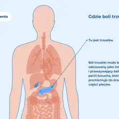 Ilustracja pokazuje lokalizację trzustki w ludzkim ciele. Ból trzustki może być objawem, który warto zbadać, by wykluczyć poważne przyczyny, jak rak trzustki.