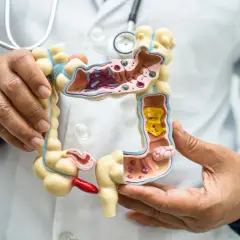 Lekarz pokazuje model jelita grubego, ilustrując możliwości diagnostyczne co zamiast kolonoskopii.