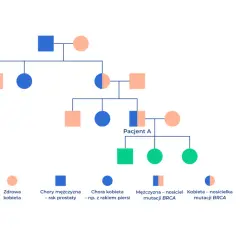 Drzewo genealogiczne pokazuje, czy rak prostaty jest dziedziczny. Widać tu osoby chore i nosicieli mutacji BRCA.