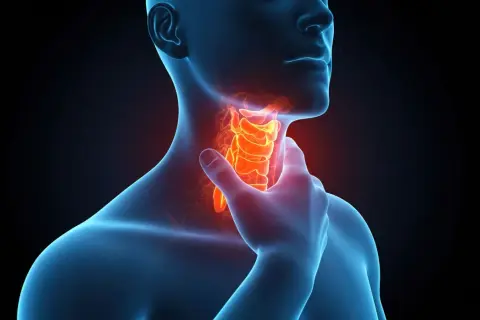 Anatomical illustration showing the larynx highlighted in red, indicating pain or inflammation. This visual may relate to understanding rak gardła przyczyny.