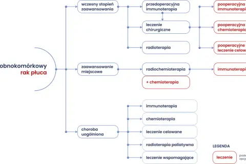 Schemat przedstawia rodzaje chemioterapii i inne terapie w leczeniu niedrobnokomórkowego raka płuca, zależnie od stadium choroby.