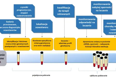 Schemat przedstawia etapy diagnostyki i monitorowania nowotworów, w tym klasyfikację TNM, profilowanie ctDNA i analizę zmian genetycznych.