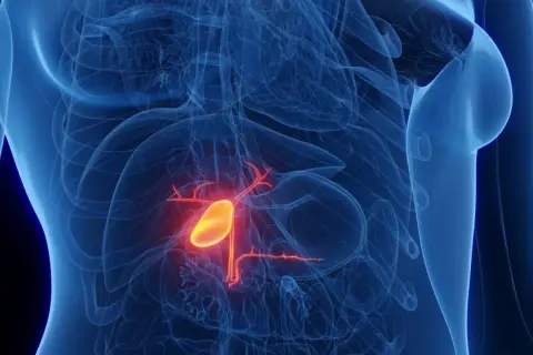 Anatomia woreczka żółciowego, gdzie czerwony obszar może symbolizować raka woreczka żółciowego i pytania o rokowania: rak woreczka żółciowego ile się żyje.