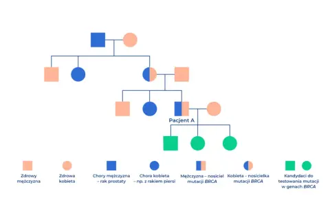 Drzewo genealogiczne pokazuje, czy rak prostaty jest dziedziczny. Widać tu osoby chore i nosicieli mutacji BRCA.