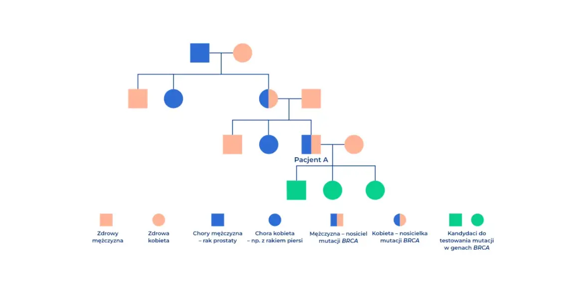 Drzewo genealogiczne pokazuje, czy rak prostaty jest dziedziczny. Widać tu osoby chore i nosicieli mutacji BRCA.