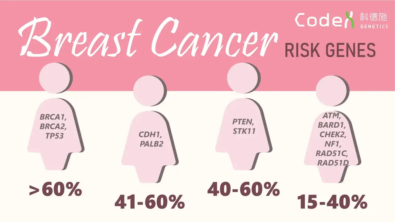 Ryzyko raka piersi: geny BRCA1, BRCA2, TP53 (>60%), CDH1, PALB2 (41-60%), PTEN, STK11 (40-60%), ATM, BARD1, CHEK2, NF1, RAD51C, RAD51D (15-40%).