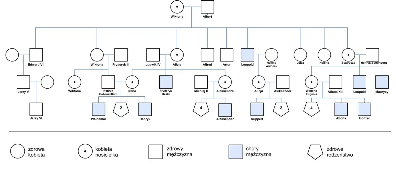 Drzewo genealogiczne pokazuje, czy glejak jest dziedziczny. Widać tu osoby chore (niebieskie kwadraty) i nosicieli (koła z kropką).